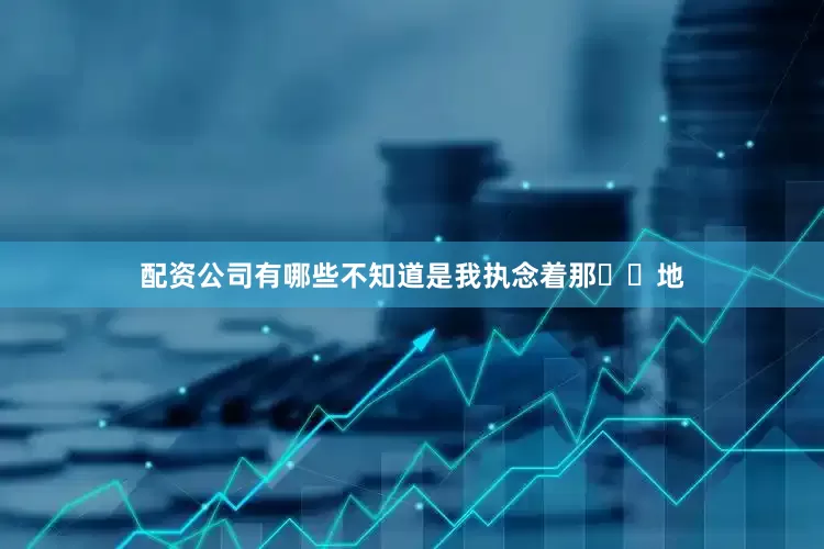 配资公司有哪些不知道是我执念着那⽚⼟地