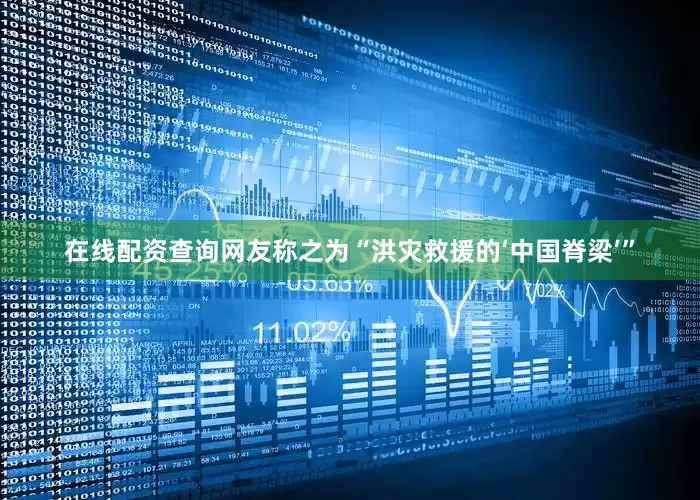 在线配资查询网友称之为“洪灾救援的‘中国脊梁’”