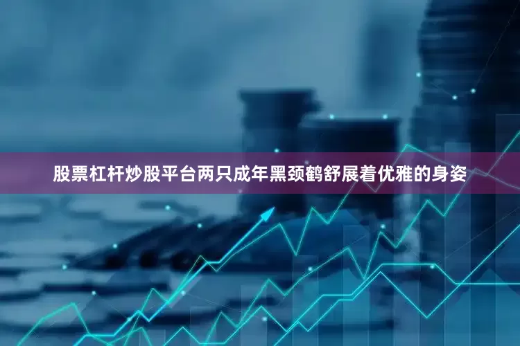 股票杠杆炒股平台两只成年黑颈鹤舒展着优雅的身姿